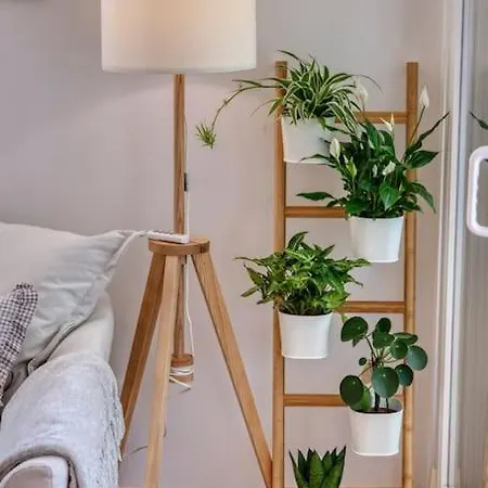 Mashadreamhome Apartment